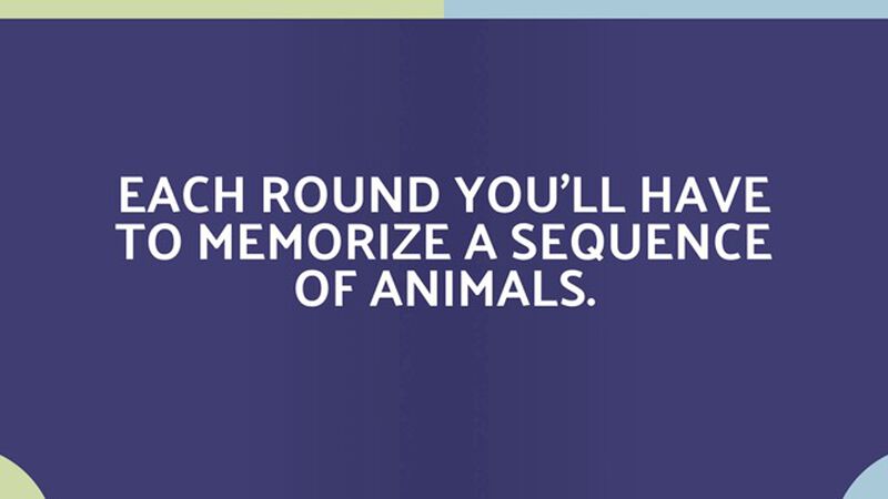 Monkey See Monkey Do